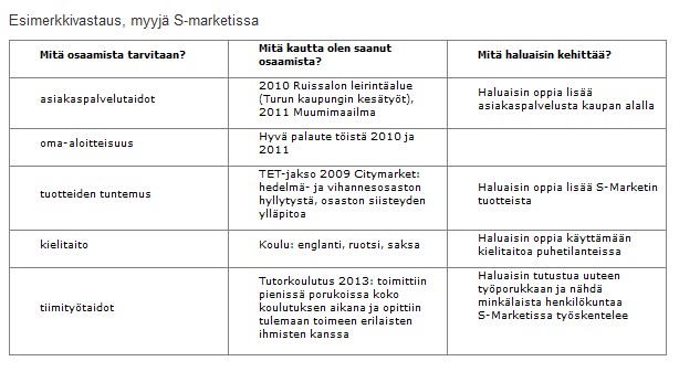 Esimerkkivastaus